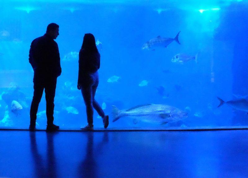 Aquarium