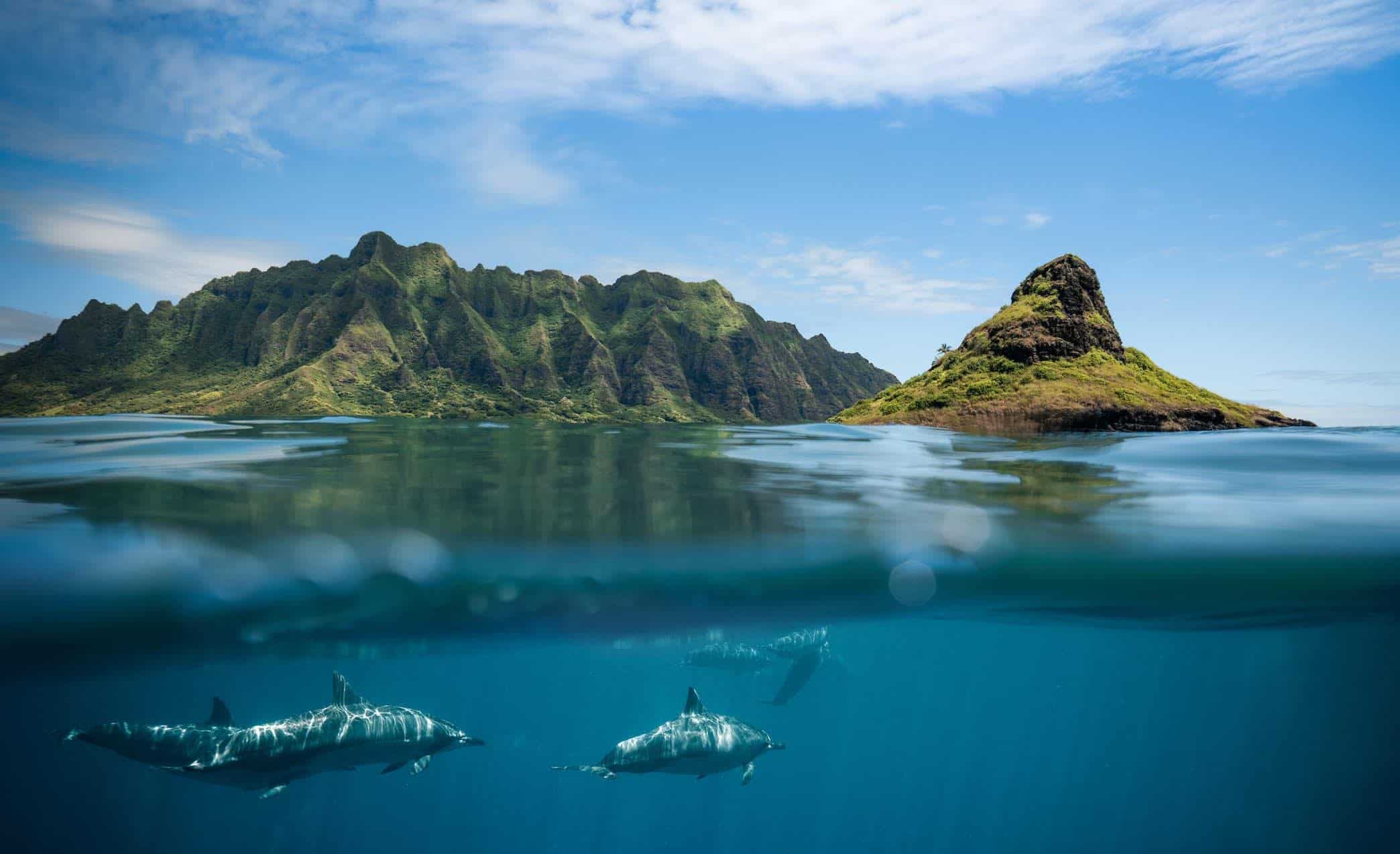 Kualoa Water