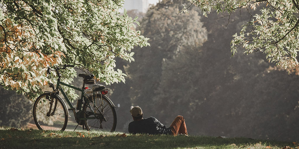 Bike Tour Boom: Consumer Habits Change as E-Bikes Bring Equity to Growing Market Arival Ben Finch