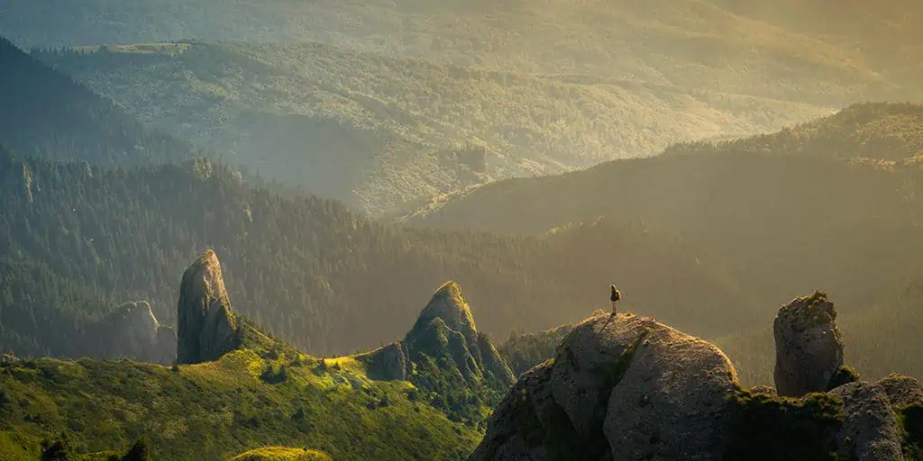 The Role of OTAs in Tours, Activities & Attractions Distribution Douglas Quinby Arival