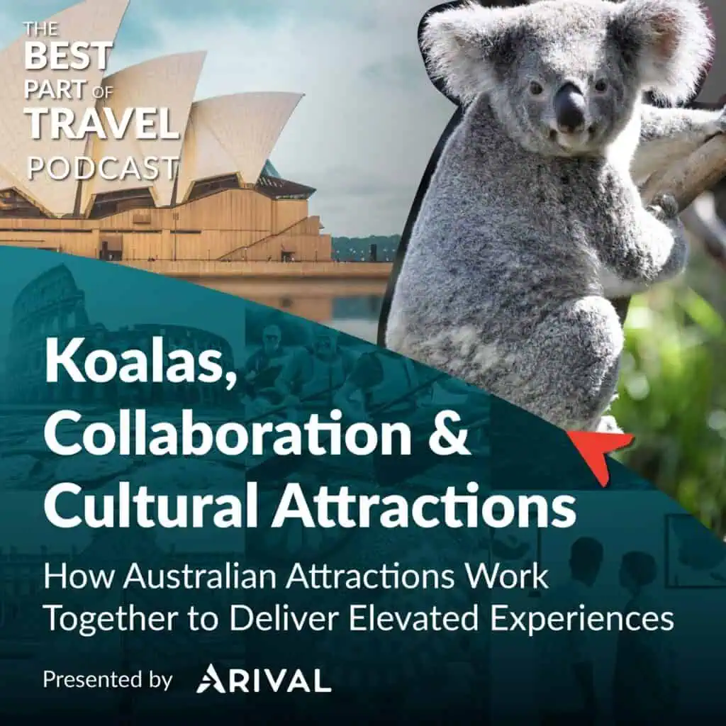 Koalas, Collaboration & Cultural Attractions