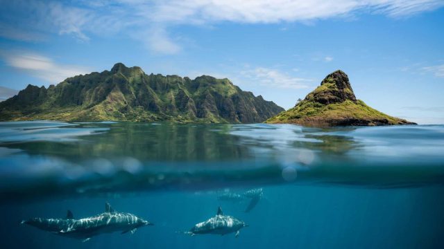 Kualoa Water Kualoa Water